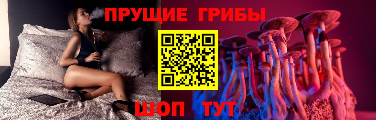 Псилоцибиновые грибы ЛСД Сызрань